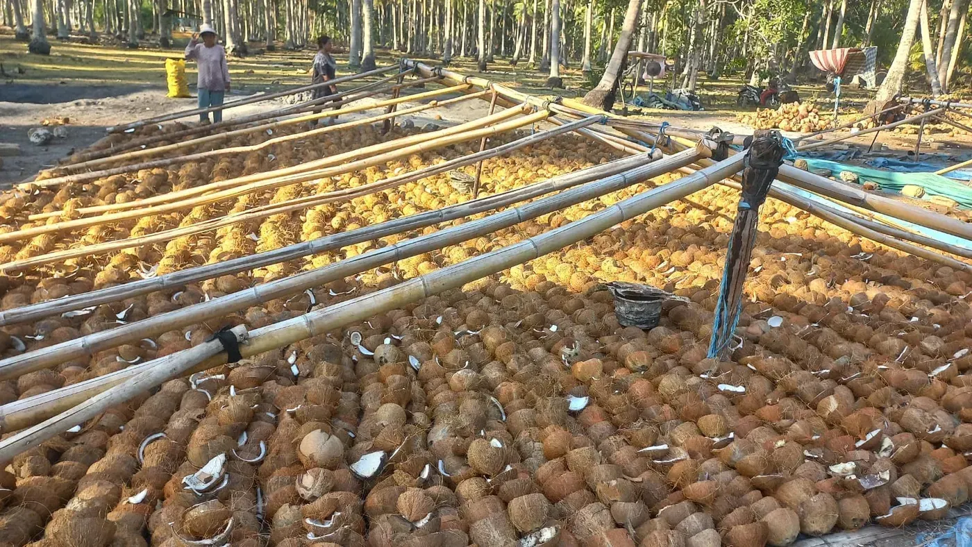 Sun-drying